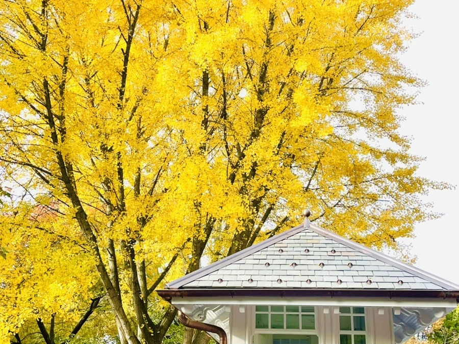 IMG_2435.jpg?type=w966