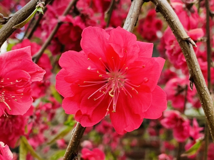 IMG_7948.jpg?type=w966