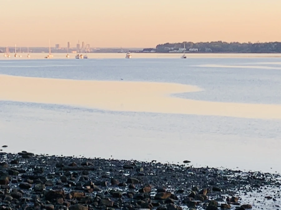 IMG_8607.jpg?type=w966