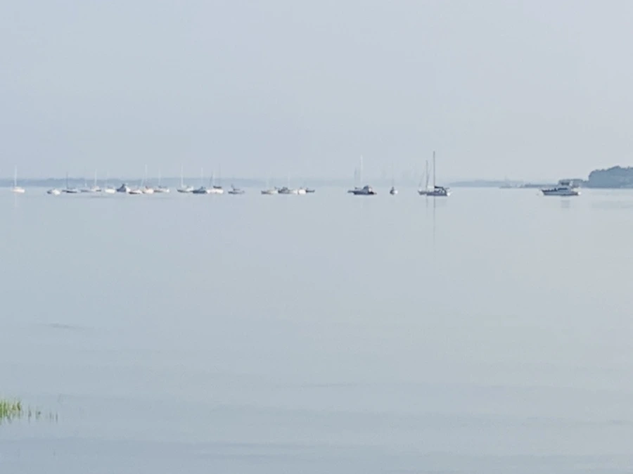 IMG_6509.jpg?type=w966