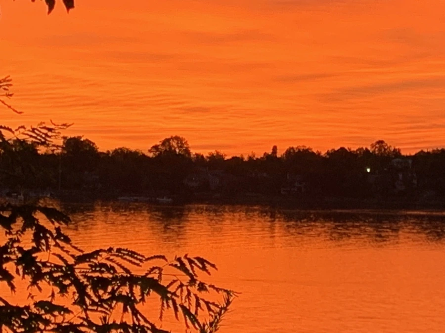 IMG_5834.jpg?type=w966