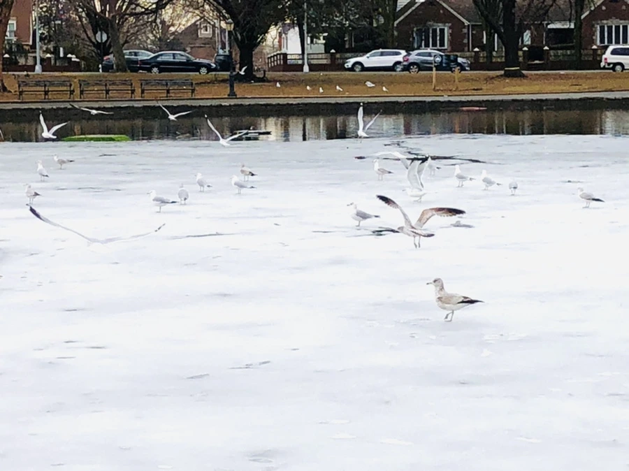 IMG_6291.jpg?type=w966