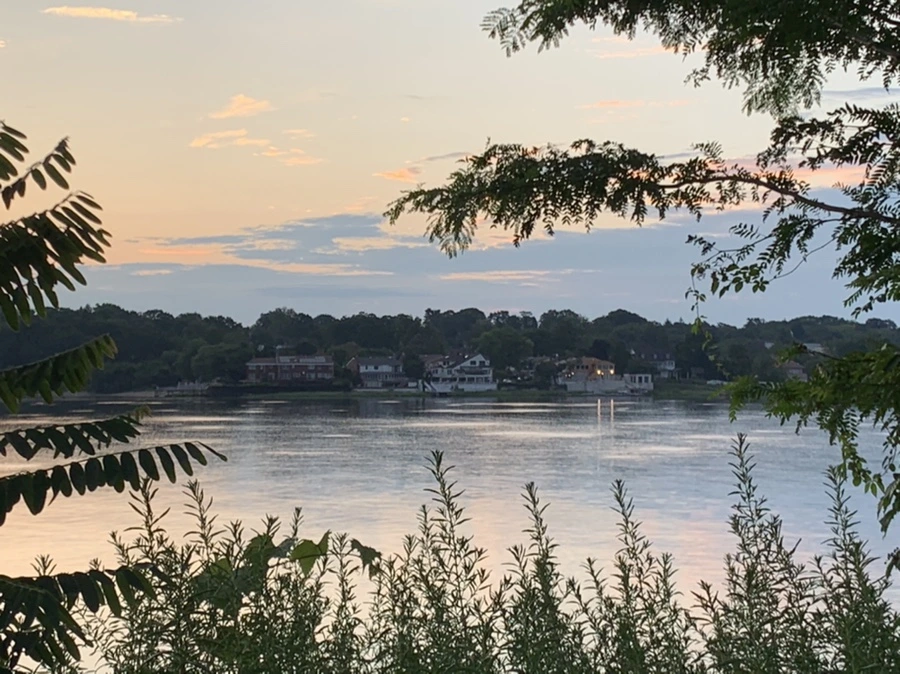 IMG_1184.jpg?type=w966