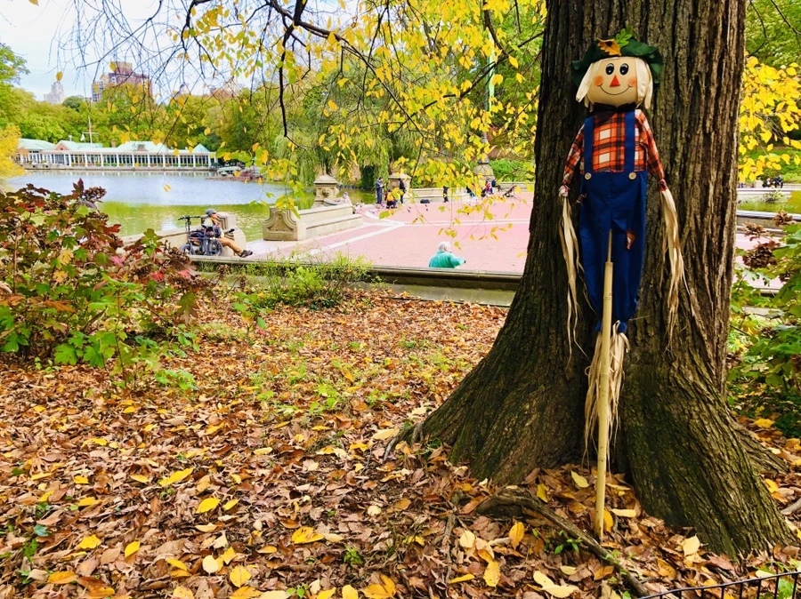 IMG_3036.jpg?type=w966