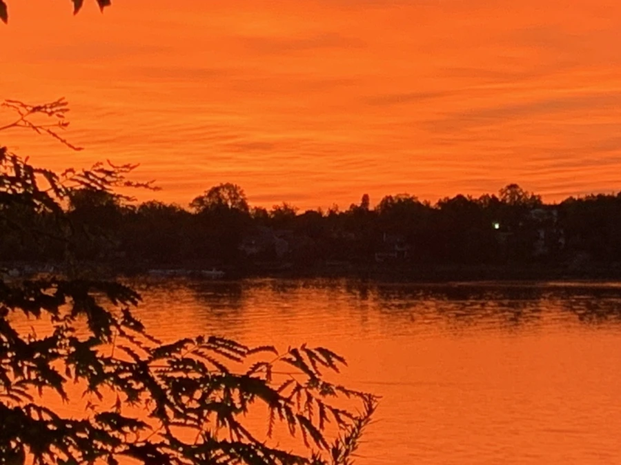 IMG_5833.jpg?type=w966