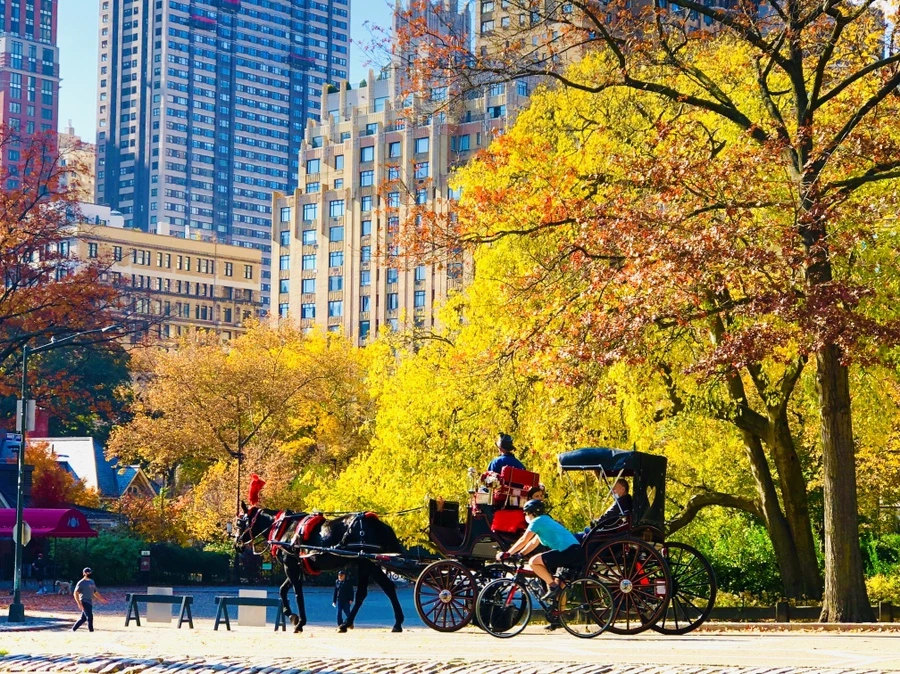 IMG_4350.jpg?type=w966