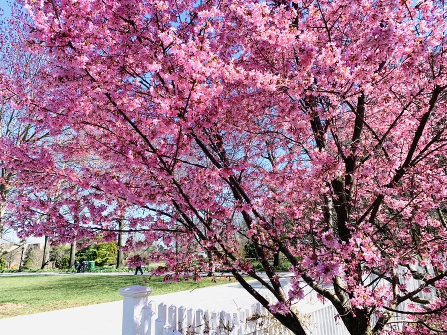 IMG_5721.jpg?type=w966