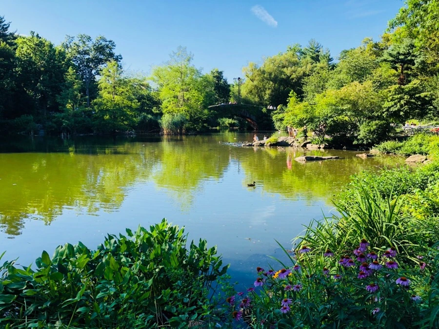 IMG_9920.jpg?type=w966