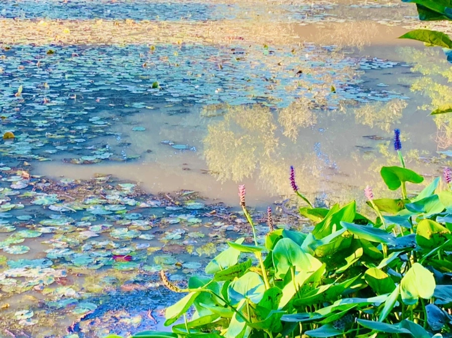 IMG_7197.jpg?type=w966