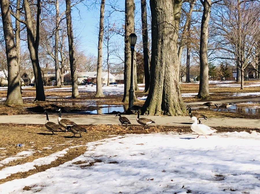 IMG_4630.jpg?type=w966