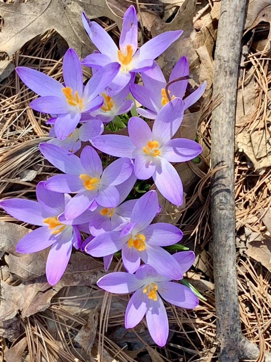 IMG_9746.jpg?type=w966