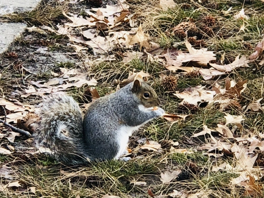 IMG_9924.jpg?type=w966