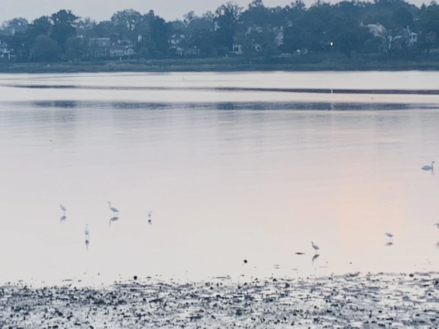 IMG_8163.jpg?type=w966