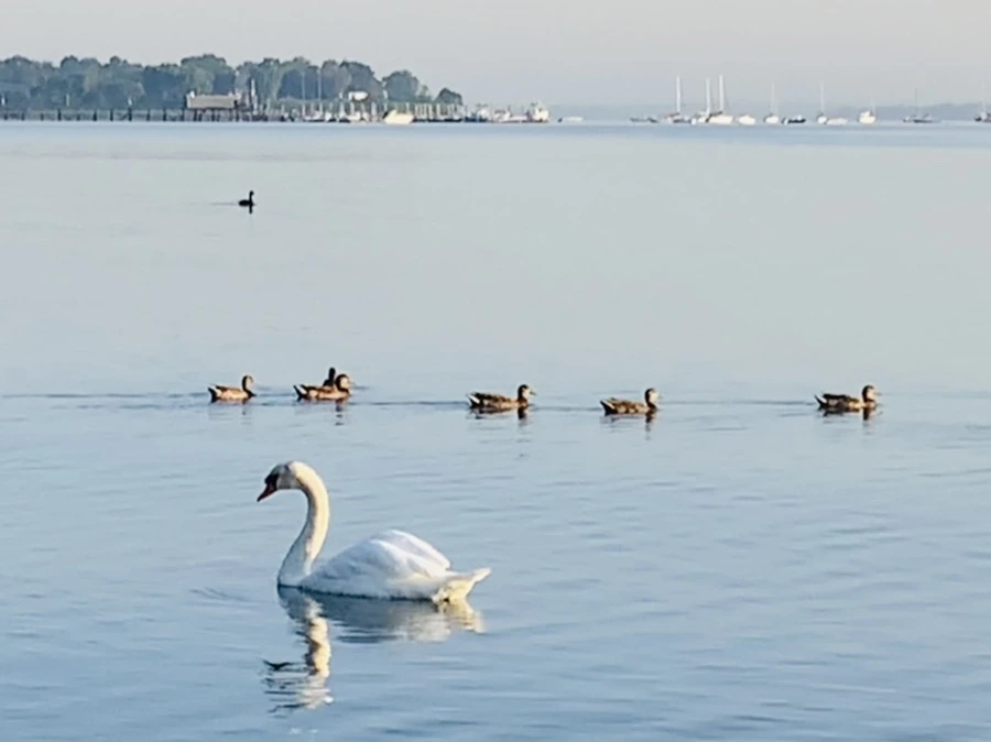 IMG_7391.jpg?type=w966