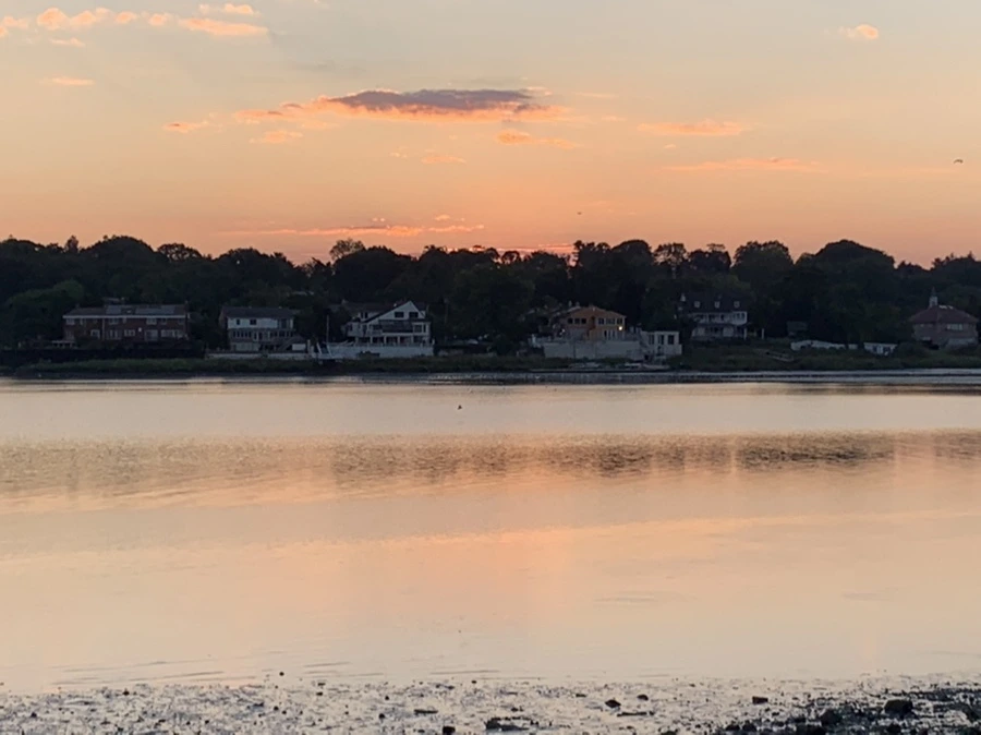 IMG_8827.jpg?type=w966