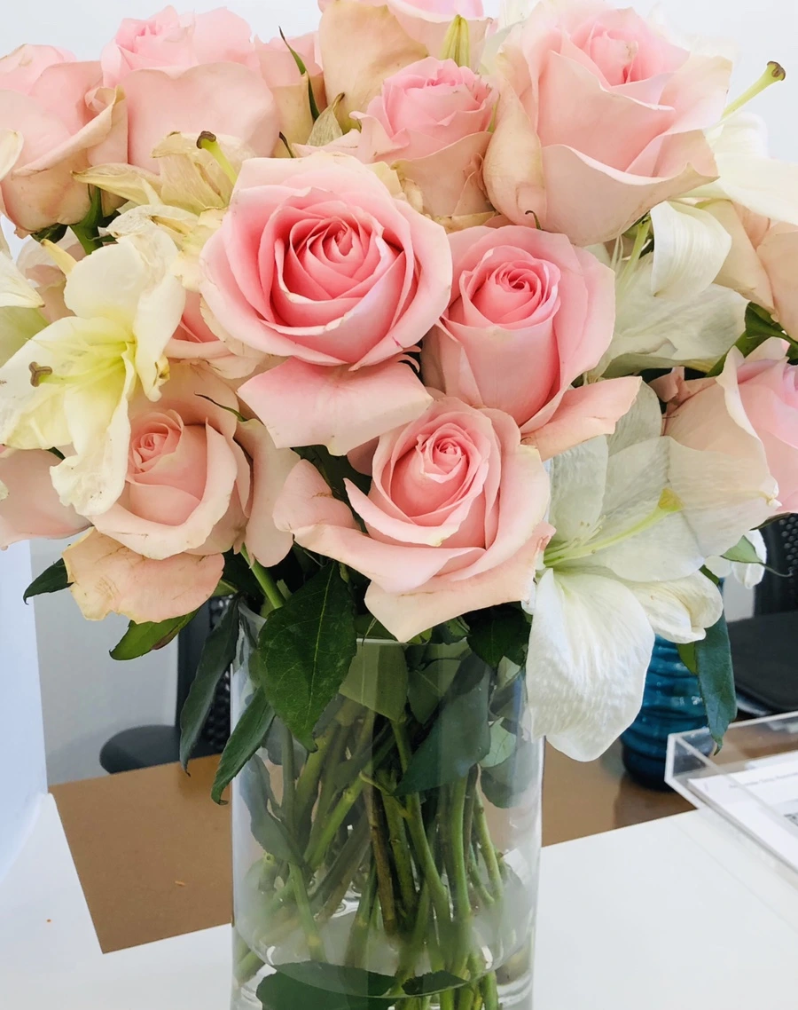 IMG_9457.jpg?type=w966