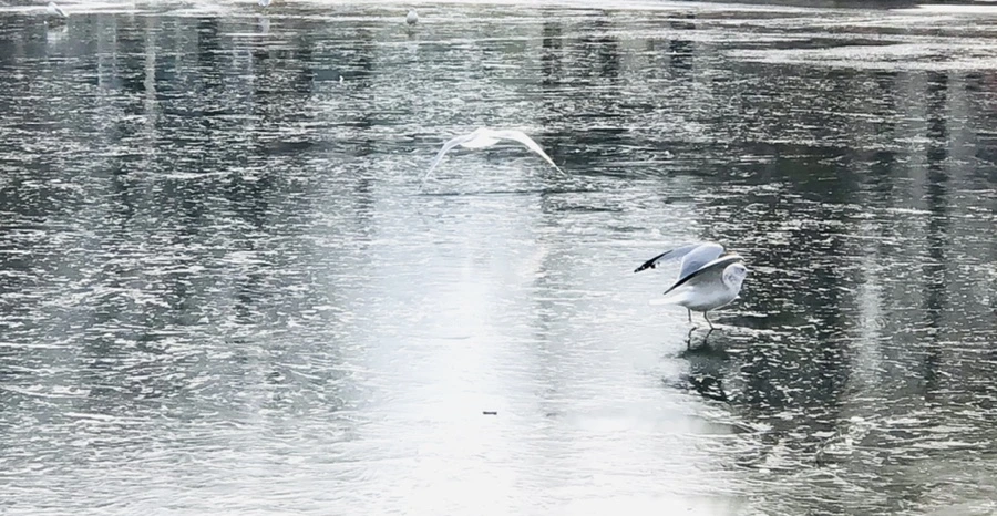 IMG_2055.jpg?type=w966