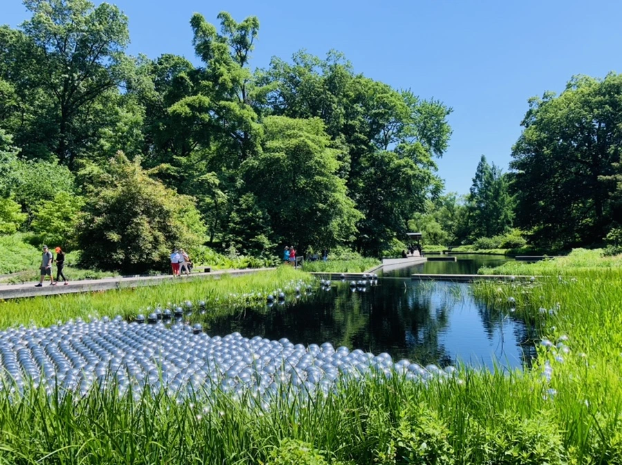 IMG_4682.jpg?type=w966