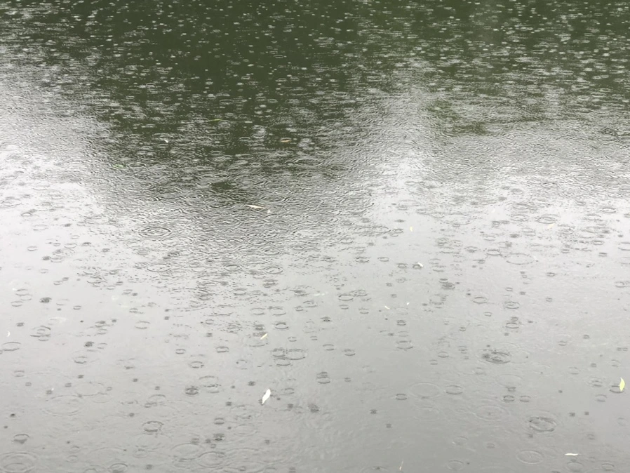 IMG_3268.jpg?type=w966