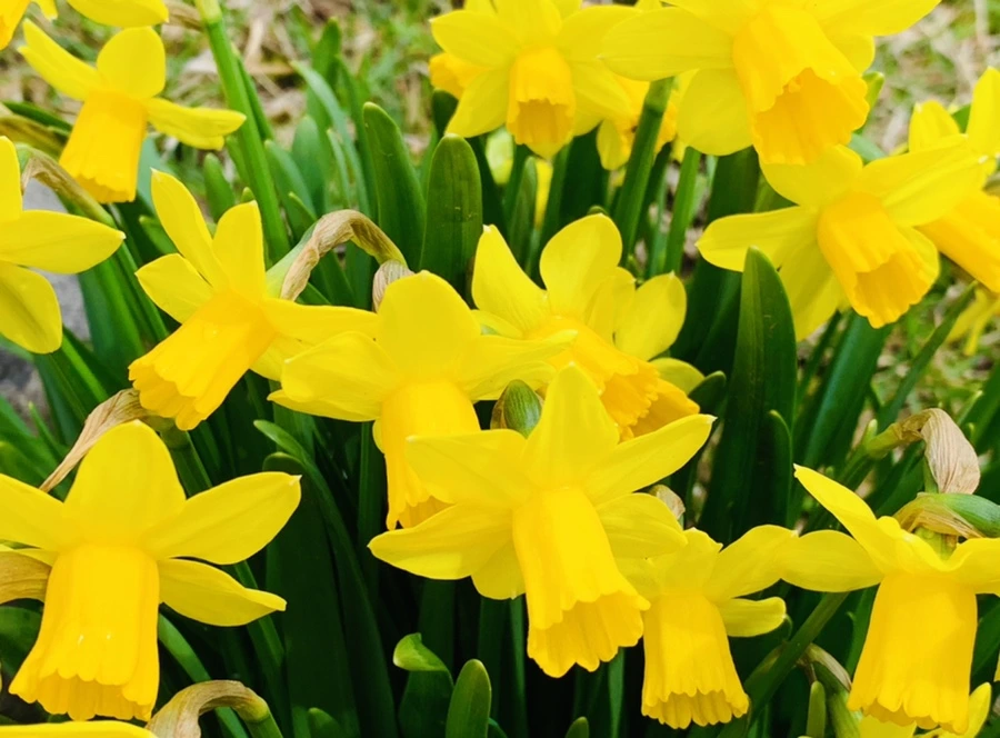 IMG_4040.jpg?type=w966