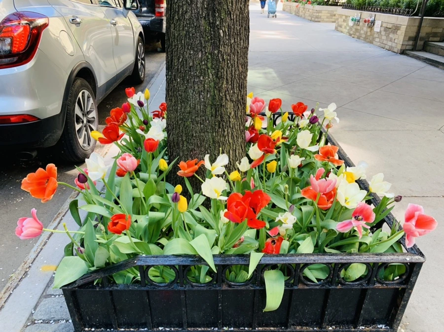 IMG_5659.jpg?type=w966