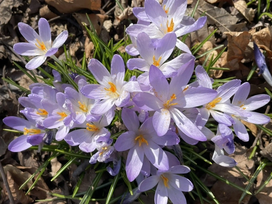 IMG_5331.jpg?type=w966