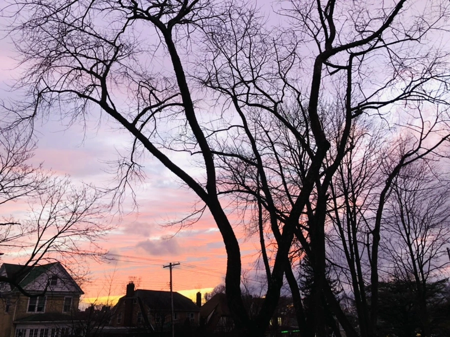 IMG_8264.jpg?type=w966