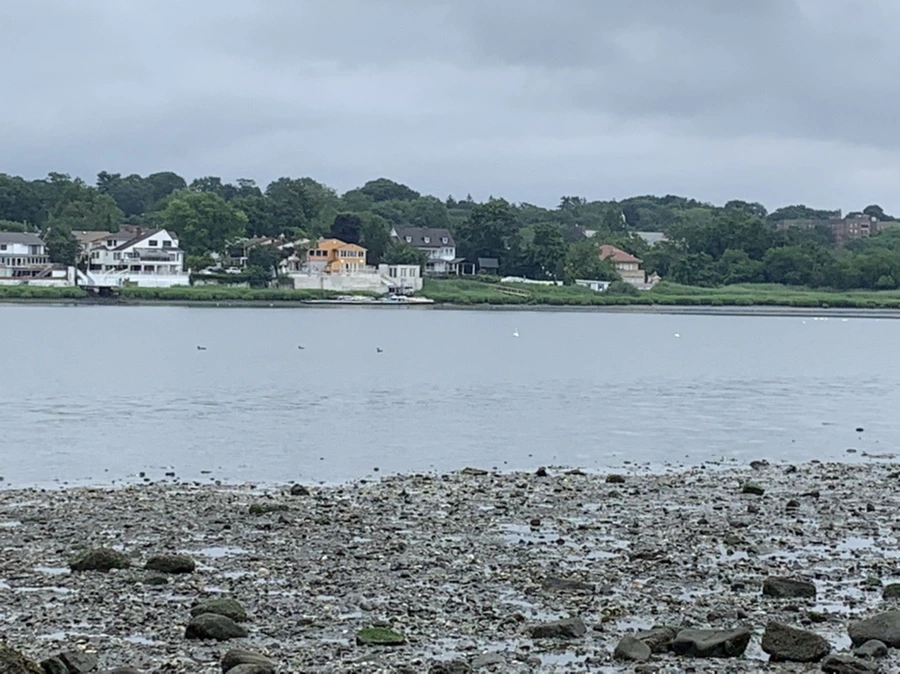 IMG_3728.jpg?type=w966