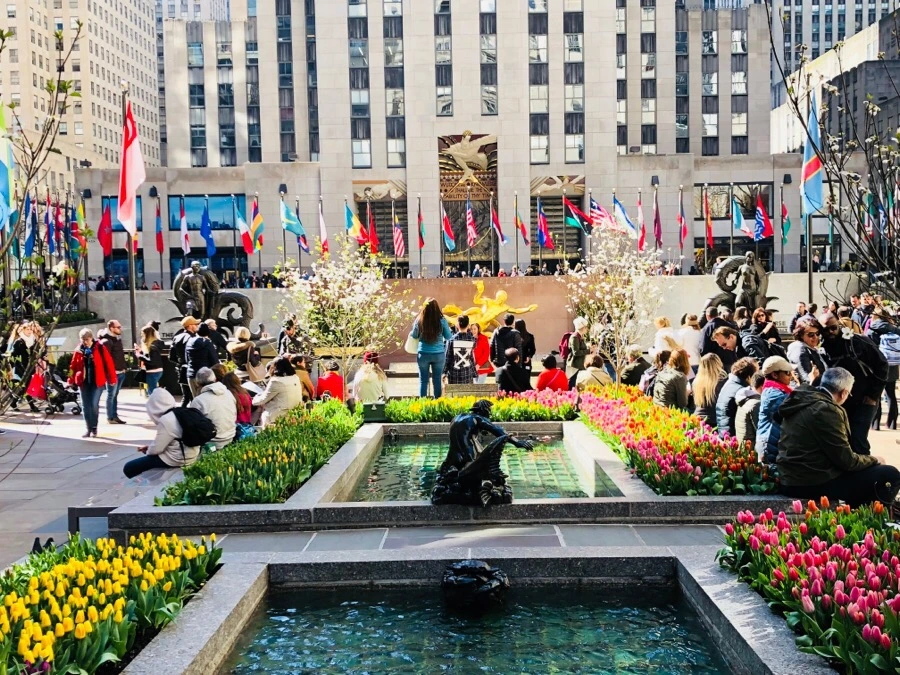 IMG_4485.jpg?type=w966