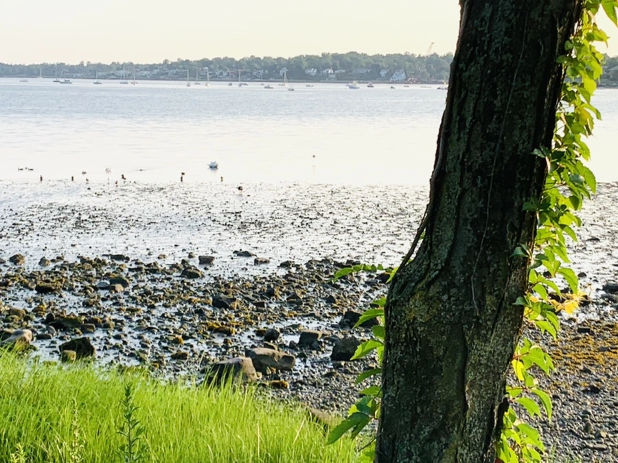 IMG_9793.jpg?type=w966