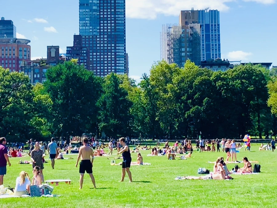 IMG_4388.jpg?type=w966