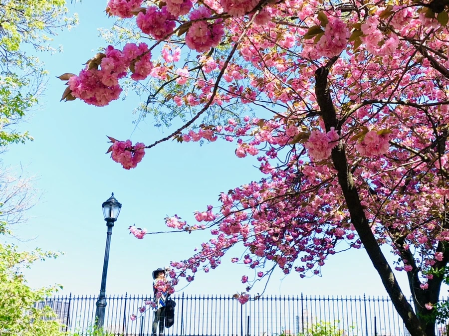 IMG_5892.jpg?type=w966