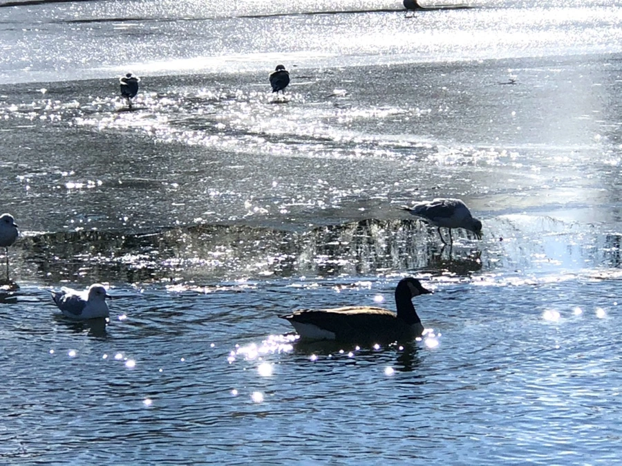 IMG_6861.jpg?type=w966