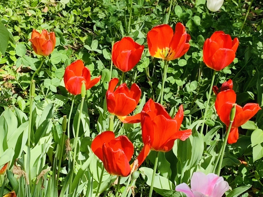 IMG_6883.jpg?type=w966