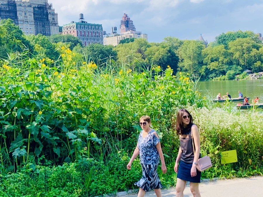 IMG_0667.jpg?type=w966