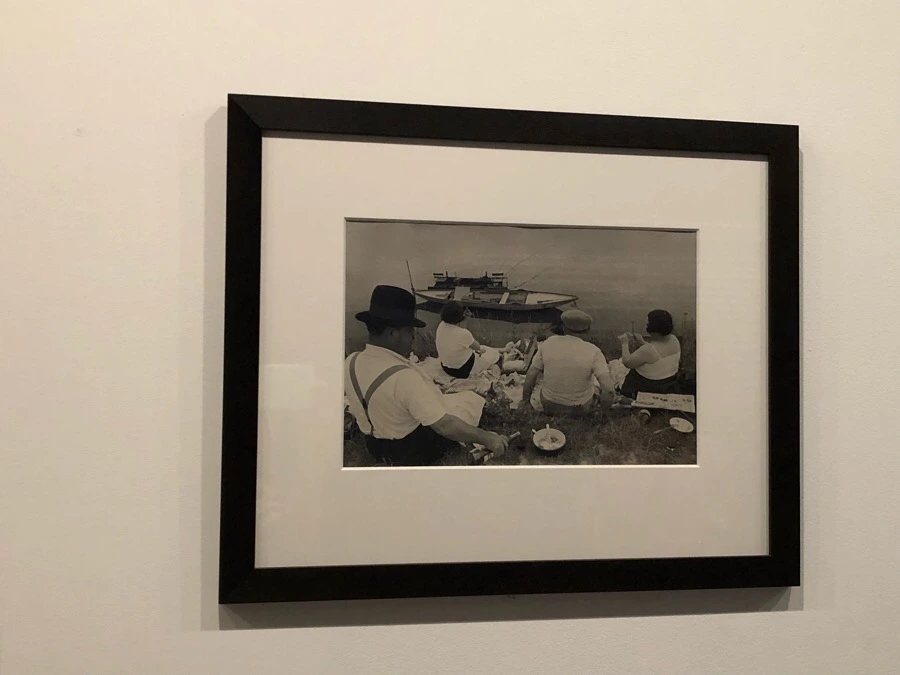 IMG_1519.jpg?type=w966