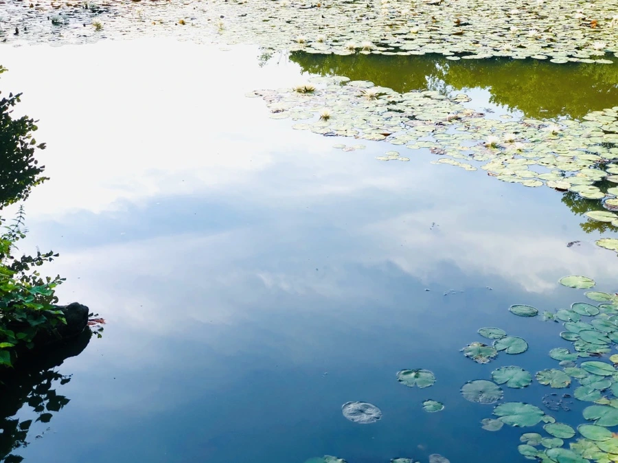 IMG_5015.jpg?type=w966