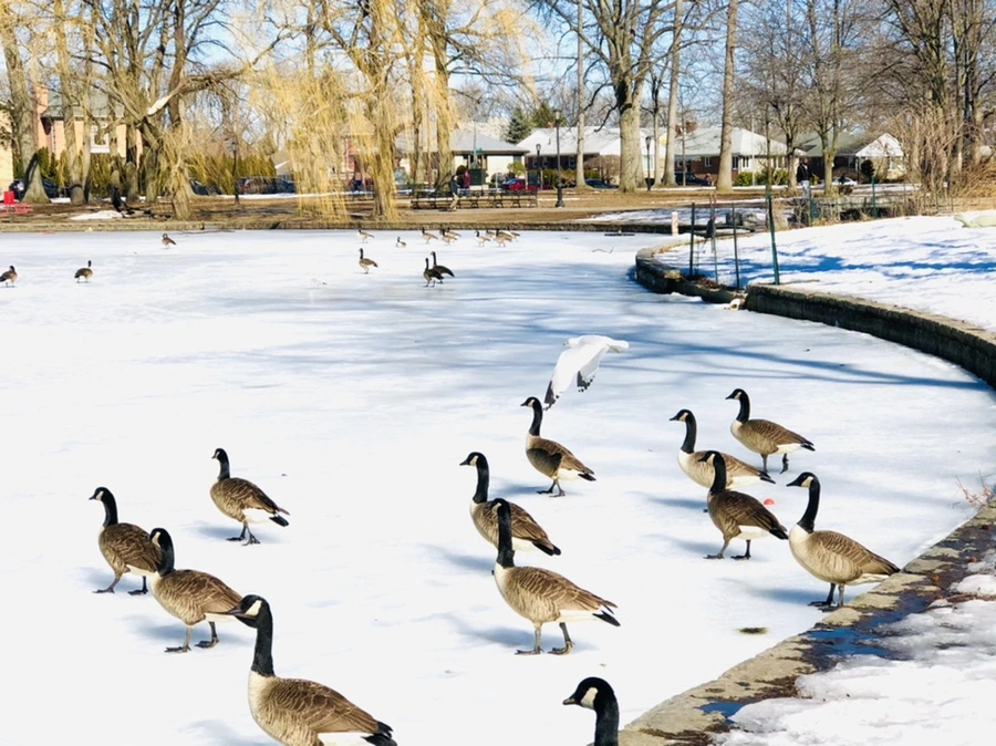 IMG_4934.jpg?type=w966