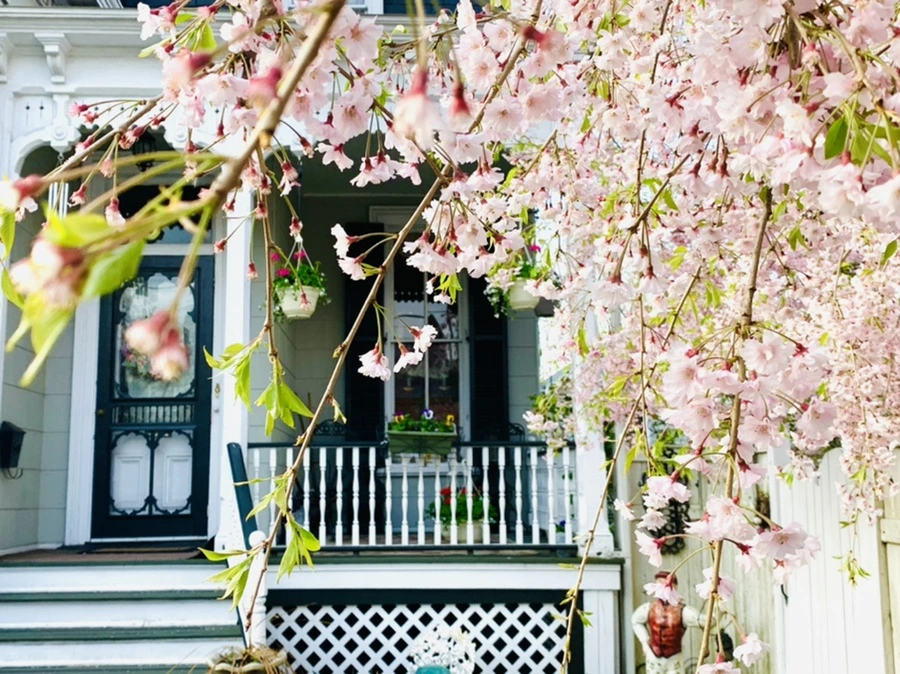 IMG_3755.jpg?type=w966