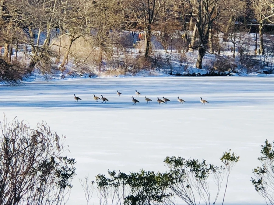 IMG_9840.jpg?type=w966