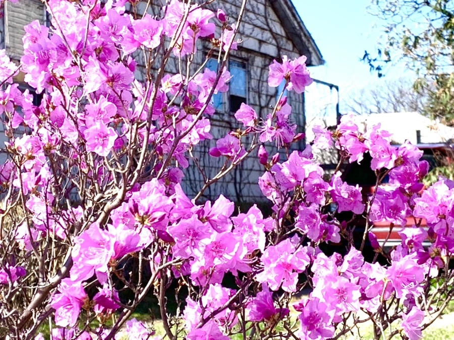 IMG_5548.jpg?type=w966