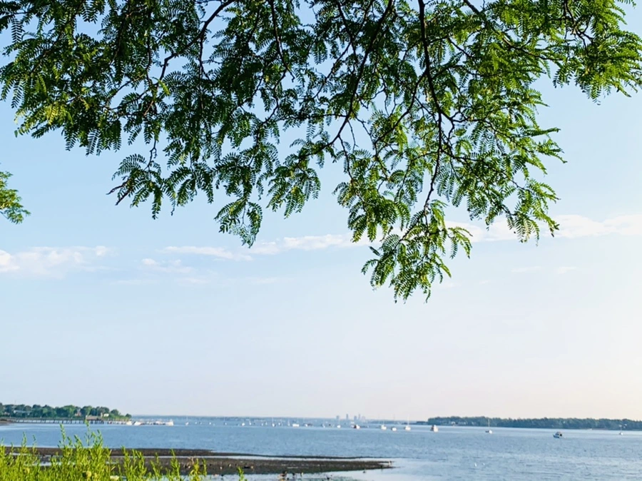 IMG_9832.jpg?type=w966