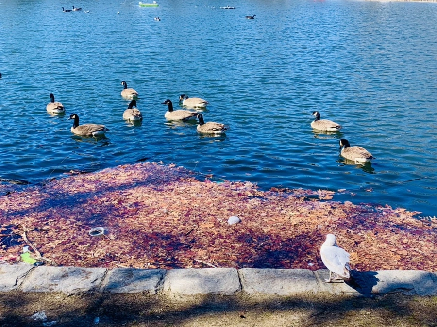 IMG_6743.jpg?type=w966