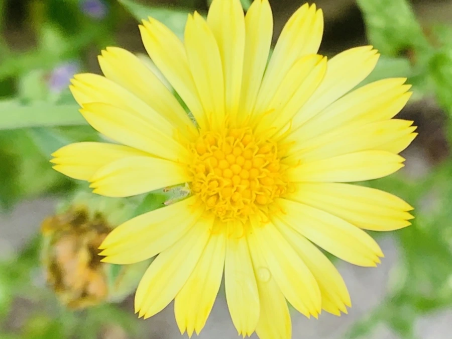 IMG_1048.jpg?type=w966