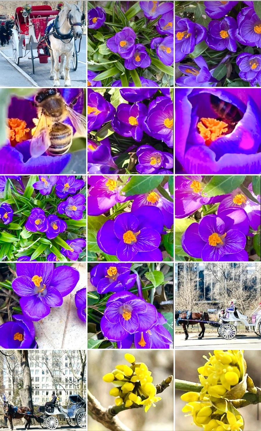 IMG_5643.jpg?type=w966