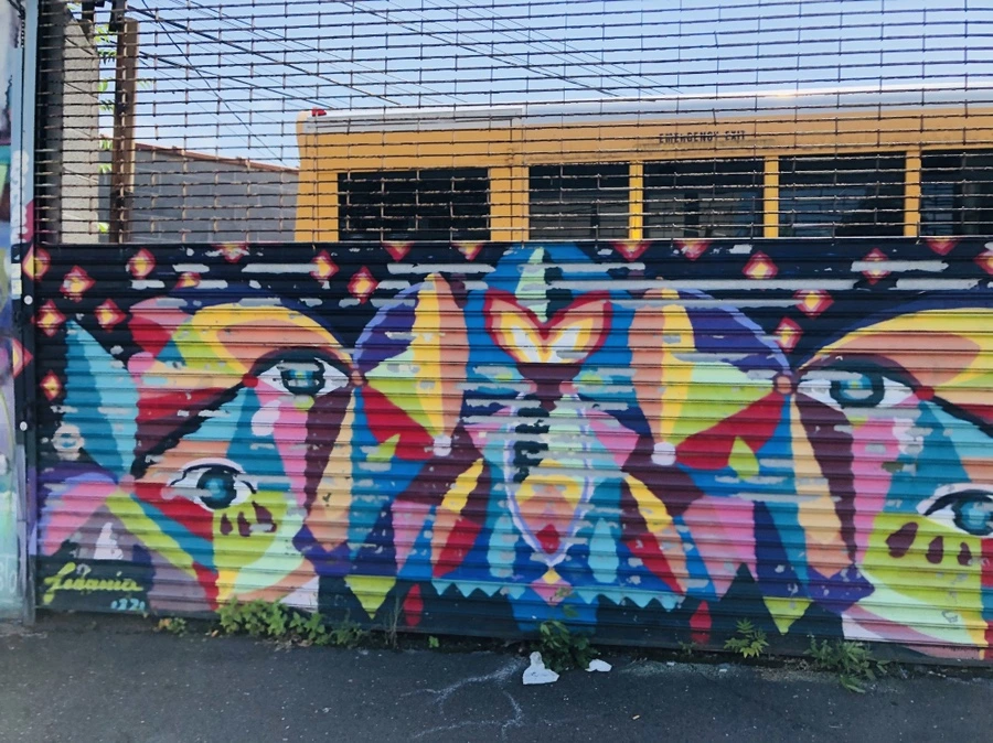 IMG_5609.jpg?type=w966