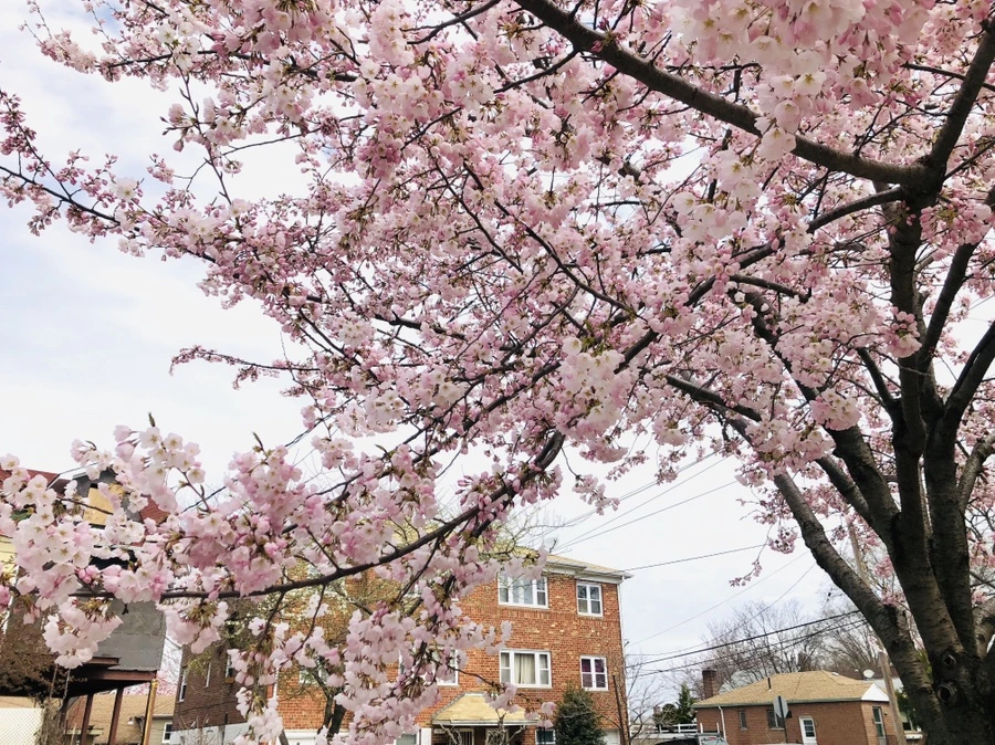 IMG_2806.jpg?type=w966