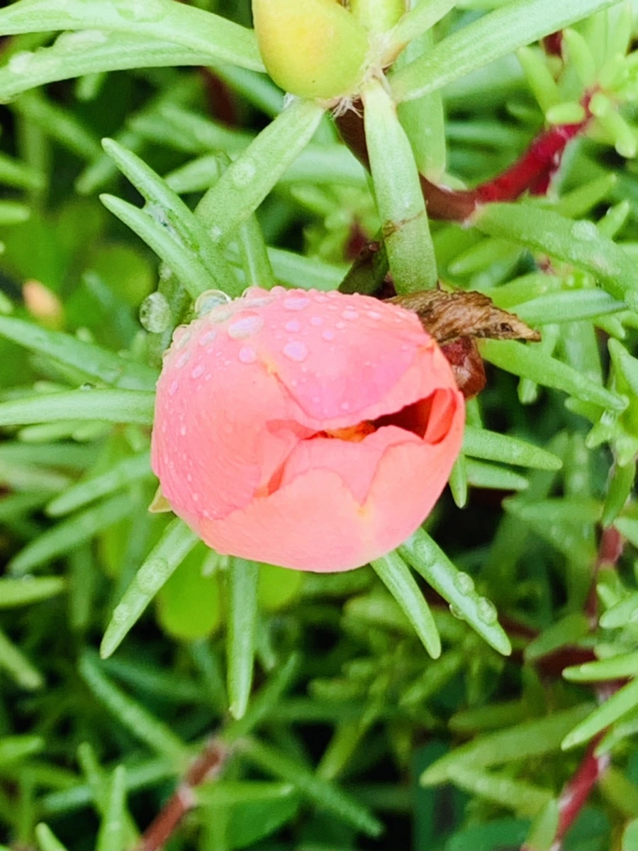 IMG_4941.jpg?type=w966