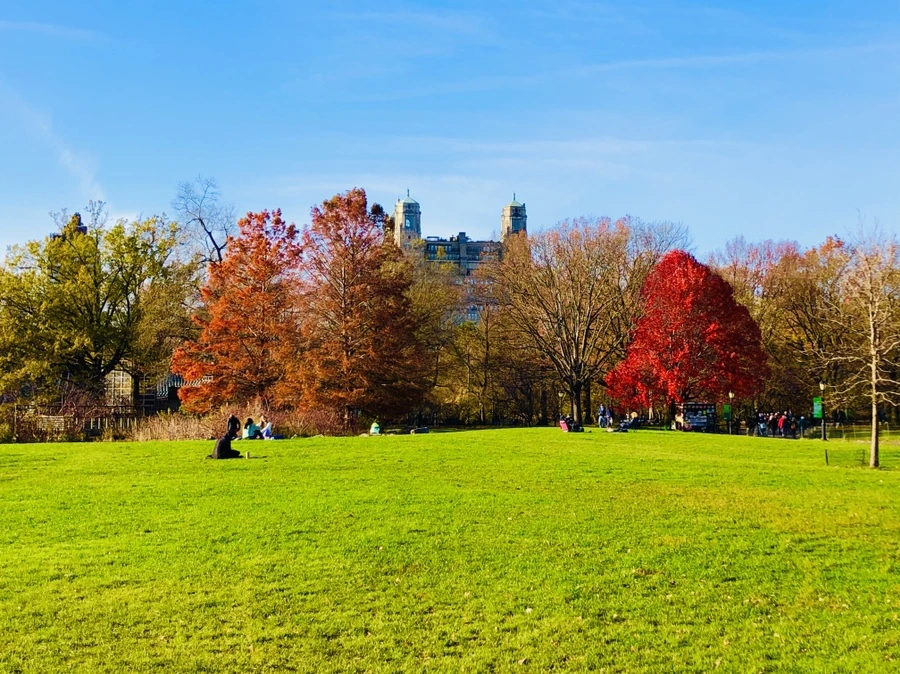 IMG_5312.jpg?type=w966