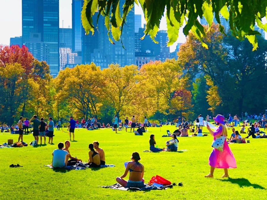 IMG_3943.jpg?type=w966